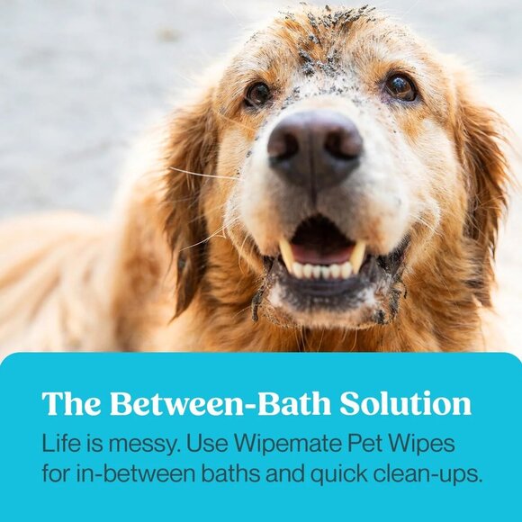 Wipemate Gentle Hypoallergenic Pet Grooming Wipes 400 Ct Unscented - Picture 2 of 6